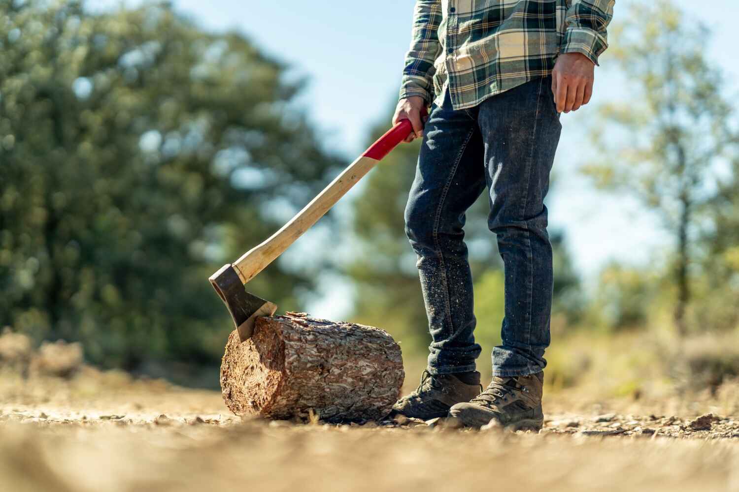 Best Tree Root Removal  in Bradford Woods, PA